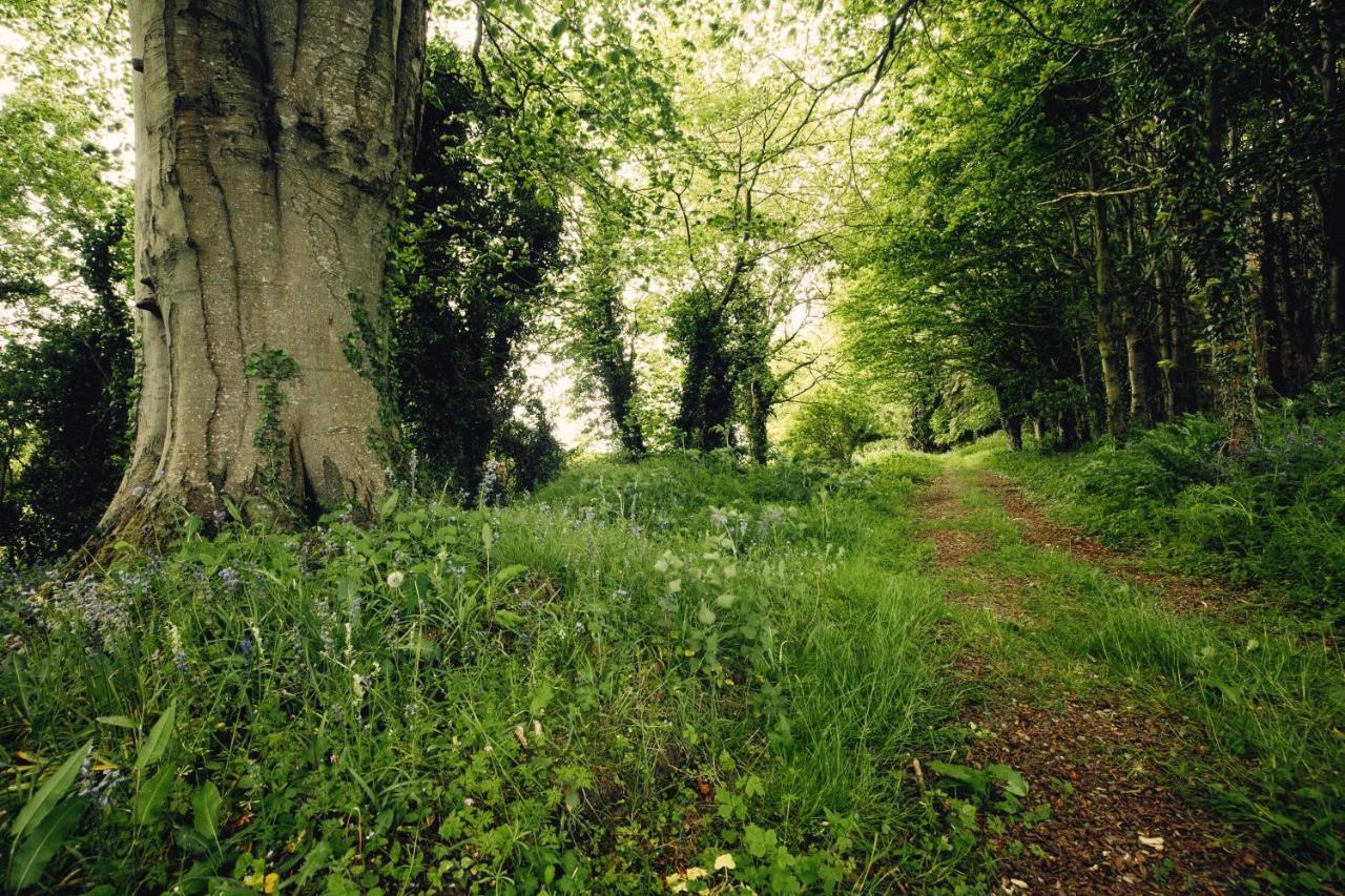 Castledillon Estate Cottage Armagh Buitenkant foto